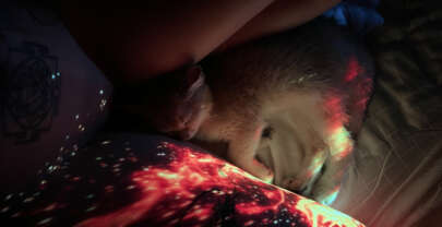 Post-Mortem of the Soul *10.09.2024*